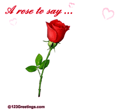 rose