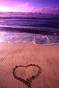 amour